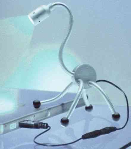 Dino-Moppel LED-Leuchte USB, zweibrüder